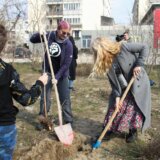 U Bloku 63 stanari sklonili ogradu gradilišta i zasadili drveće 3
