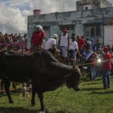 Koride ponovo dozvoljene u glavnom gradu Meksika 7