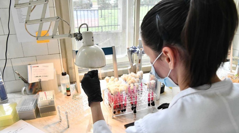 Batut: U Srbiji petoro obolelo od virusa Zapadnog Nila 1