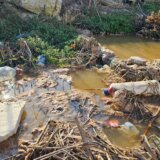 Poslednja rupa na svirali: ,,Da nema pregovora sa EU, niko ne bi ni razmišljao o ekologiji i otpadnim vodama" 4