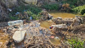 Poslednja rupa na svirali: ,,Da nema pregovora sa EU, niko ne bi ni razmišljao o ekologiji i otpadnim vodama" 24