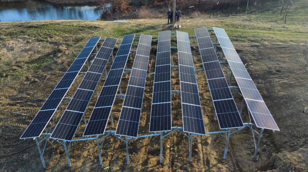 Bobičasto voće ispod solarnih panela: U Valjevskoj Kamenici postavljena prva agrosolarna elektrana u Srbiji (FOTO) 1