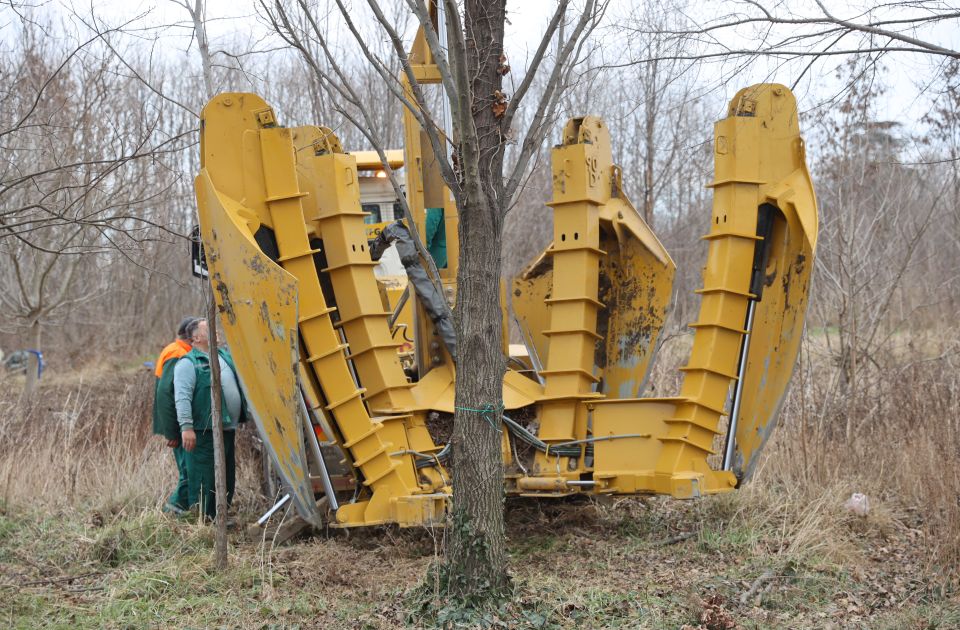 Specijalna mašina za sadnju drveća u Novom Sadu ozelenjava grad: Svakog dana premesti tri do pet stabala na nove lokacije (VIDEO) 2