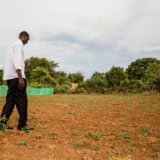 Zambija proglasila sušu za nacionalnu katastrofu 1