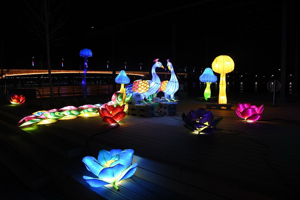 Kineski festival svetla 6. put u Limanskom parku 1