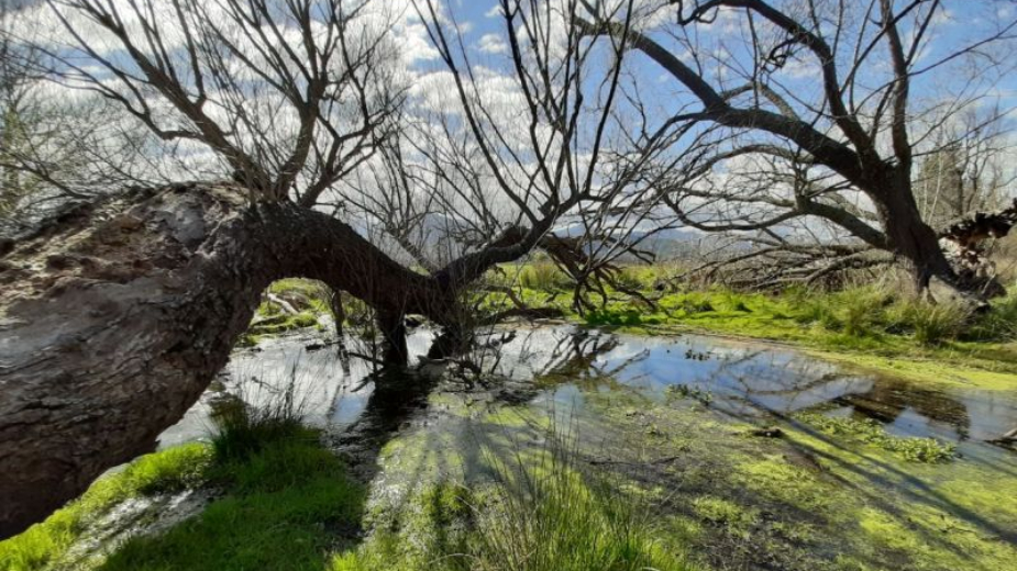 Vlažna staništa u Srbiji ugrožavaju otpadne vode i bespravna gradnja 1