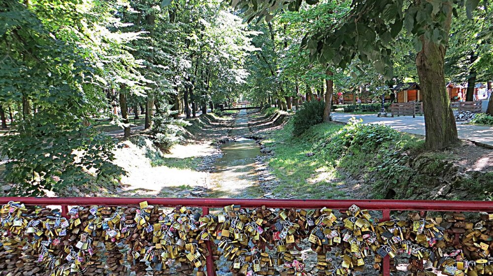 Ljubili su se skoro 50 minuta i pobedili na takmičenju u Vrnjačkoj Banji 1