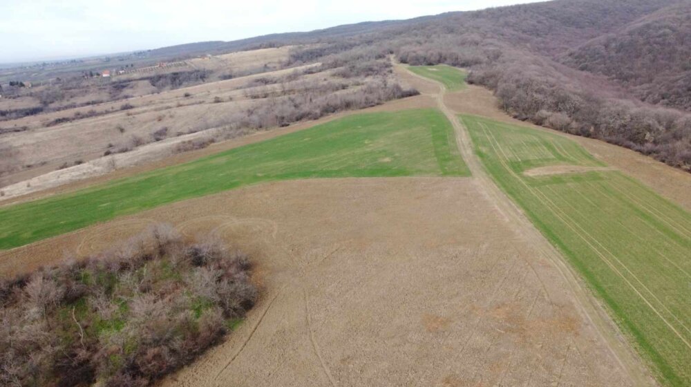 Nakon pisanja Danasa o preoranim pašnjacima na Fruškoj gori: Gradonačelnica Sremske Mitrovice kaže da je inspekcija na terenu 1