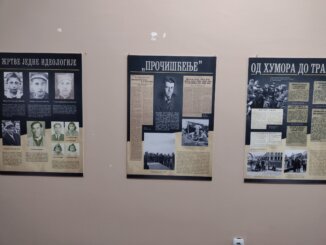 Između empatije i predrasuda, od "ciganizma" do "pročišćenja": Romi u štampi Kraljevine Jugoslavije (1929 - 1944) 12