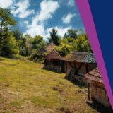 "Brigu vodi čak 37 institucija, a rezultati katastrofalni": Sagovornici Danasa o procenama demografa da bi do 2050. u Srbiji moglo da nestane 3.000 sela 8