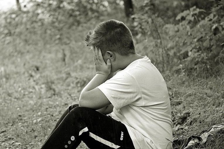 Šta bi se dogodilo kad bi gradonačelnica samo jedan dan brinula o autističnom detetu: Grad Niš i dalje ne obezbeđuje lične pratioce svoj deci sa posebnim potrebama 2