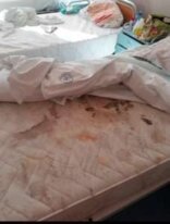 Da li u niškom porodilištu, starom pola veka, caruju nehigijena i bahatost ili bi mu se porodilje rado vratile? 7