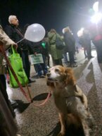 Urbanističko nasilje od 70 miliona evra, u korist investitora: Protest građana Niša protiv plana o uništenju zelene površine zbog stambenog kompleksa 4