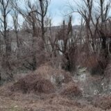 Apokaliptični prizori: Pokret za preokret traži hitno saniranje štete na novosadskom keju koji je uništen u julskim olujama 31