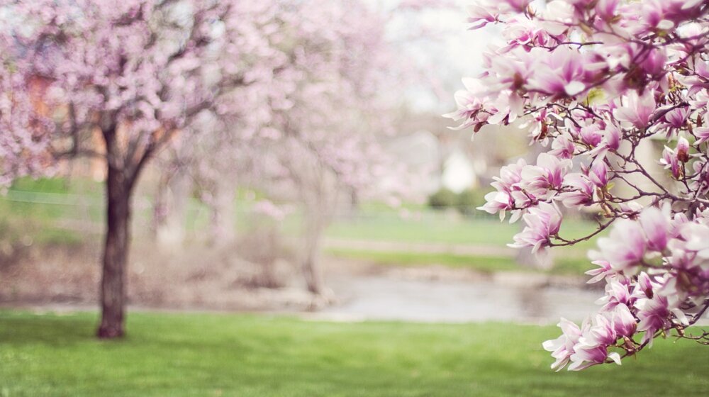 Kad počinje proleće 2024. godine? 1