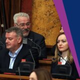 "Skandalozno, primitivno i prostački": Sagovornici Danasa o Nestorovićevoj izjavi da su u opoziciji "Cigani" a njihovo ponašanje "ciganija" 3