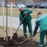Stanari bloka 62 organizovali akciju spašavanja zelene površine 3
