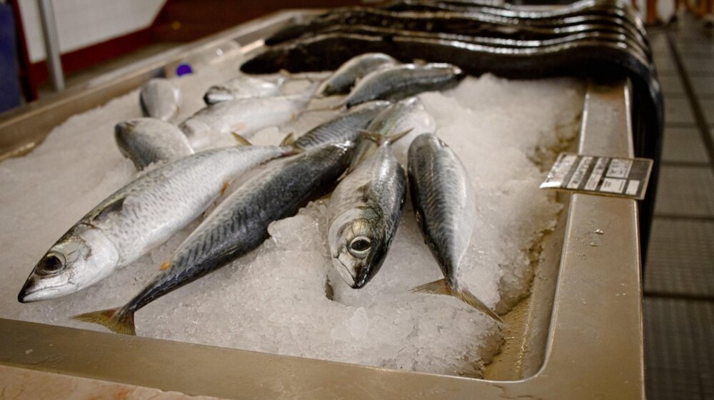 Ova vrsta ribe uravnotežuje holesterol, neverovatan je izvor vitamina D i kalcijuma 1