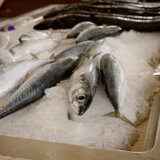 Ova vrsta ribe uravnotežuje holesterol, neverovatan je izvor vitamina D i kalcijuma 10