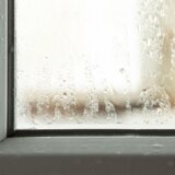 Najjeftiniji trik za rešavanje vlage u stanu: Potrebna su vam samo dva sastojka 2