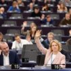 Evropski parlament sutra o napretku Srbije 7