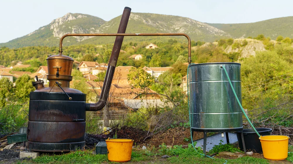 Rakija fest 12. maja na Dorćolu 8