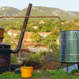 U Kragujevcu osnovan fond za podršku proizvođačima voćnih rakija 11