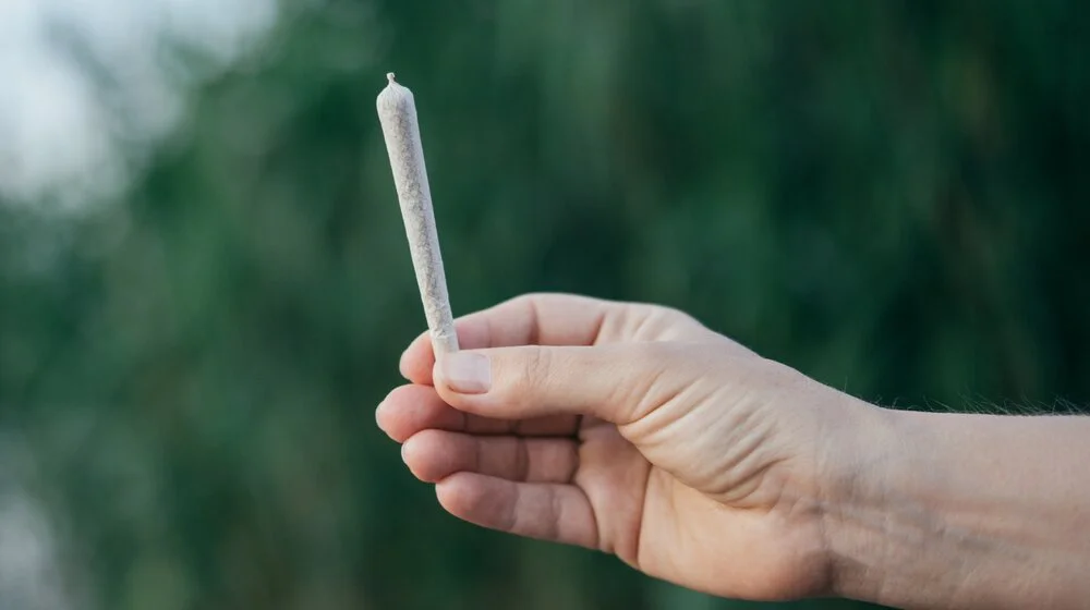 Legalizovana upotreba marihuane u Nemačkoj: Od 1. jula biće moguće kupiti travu preko "kanabis klubova" 1
