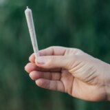 Legalizovana upotreba marihuane u Nemačkoj: Od 1. jula biće moguće kupiti travu preko "kanabis klubova" 4