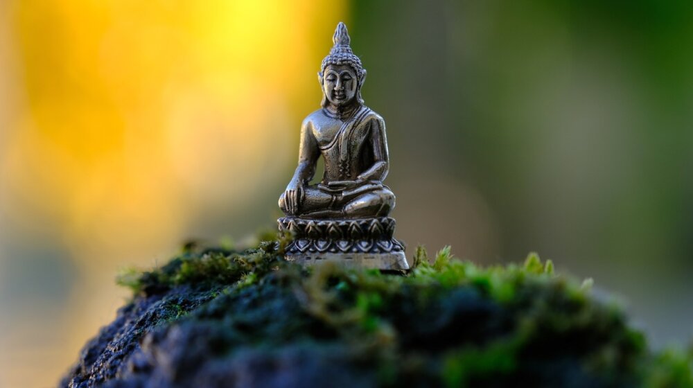 U Bačkom Dobrom Polju podignut spomenik Budi 1