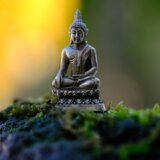 U Bačkom Dobrom Polju podignut spomenik Budi 2