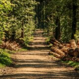 Francuzi planiraju gradnju zdravstveno-rehabilitacionog centra na Kopaoniku 3