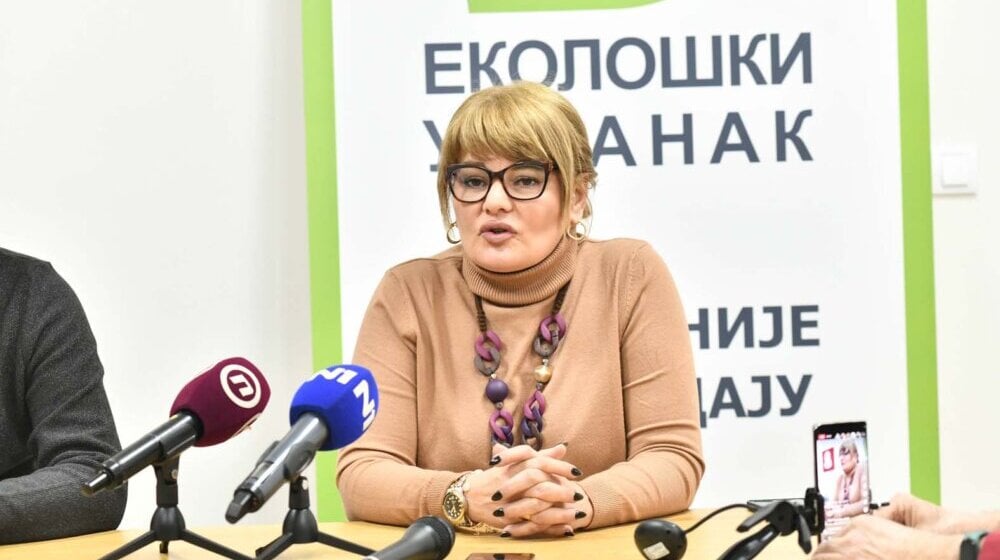 Danijela Nestorović o biračkom spisku: Kontrolisaće ga Radna grupa kao i izborni postupak 11