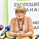 Danijela Nestorović o biračkom spisku: Kontrolisaće ga Radna grupa kao i izborni postupak 9