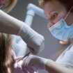 Koliko su građanima u zemljama regiona dostupne stomatološke usluge i koliko ih koriste? 11