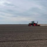 Vlada Srbije povećala regres za sertifikovano seme na 17.000 dinara po hektaru 3