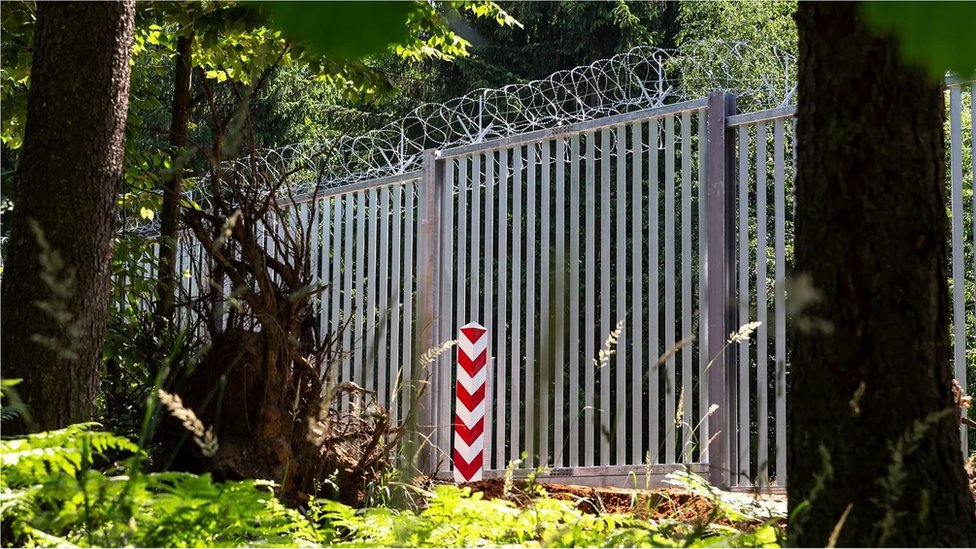 Životinje i migracije: Kako nacionalne granice razdvajaju ekosisteme 2 poljsko-beloruska granica