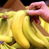 Klimatske promene: Raste temperatura, ali raste i cena banana, upozoravaju stručnjaci 5