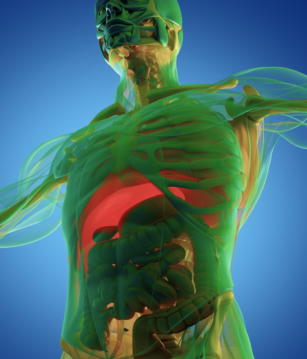 Image of a 3D scan of human anatomy