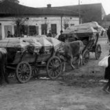 Prvi svetski rat i Srbija: Kako je jedno bure zaustavilo pomor od tifusa 8