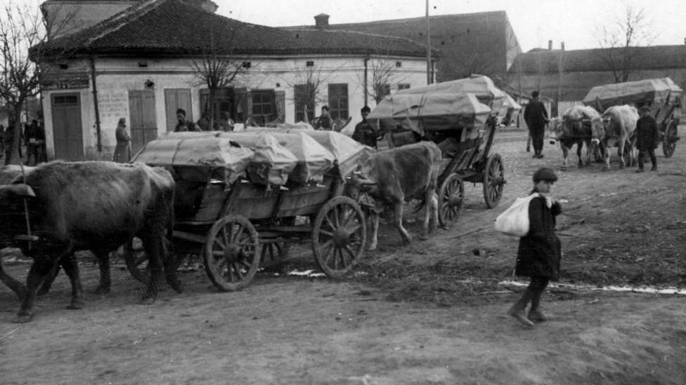 Prevoz umrlih od tifusa u Nišu, mart 1915.
