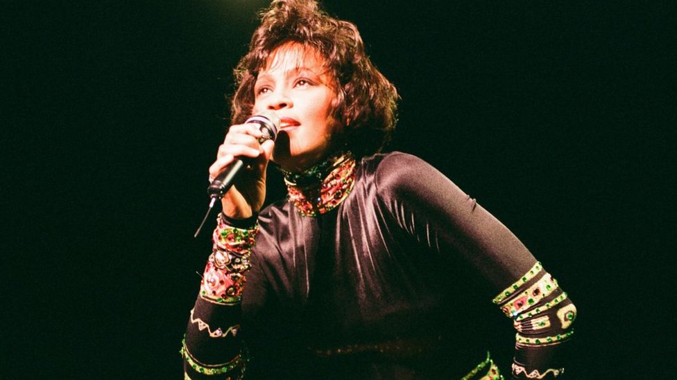 Vitni Hjuston na koncertu 1993. godine
