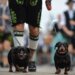 Životinje: Nemačka demantuje izveštaje o zabrani pasa jazavičara 7