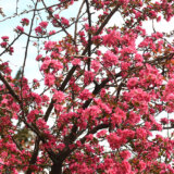 Prolećni umor ili nešto ozbiljnije: Kada bi trebalo kod lekara ukoliko se osećamo umorno? 1