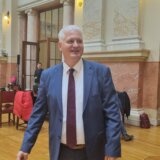 "Opozicija nije kreirala krizu u društvu": Predrag Marsenić (Novi DSS) kaže da SNS od beogradskih želi da napravi nacionalne izbore 11