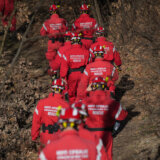 Kako prepoznati devojčicu koja je nestala u Boru i kome da prijavite u Srbiji i Beču? 1