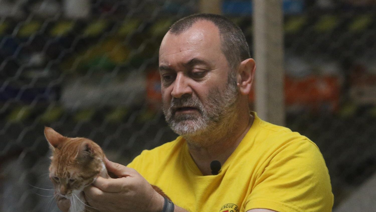 "Deca samo usvajaju modele iz društva": Šta kažu stručnjaci o slučaju usmrćivanja 12 jaganjaca u selu kod Vrbasa? 3