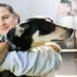 Na svom imanju ima skoro 40 životinja, a brine i o 10 uličnih pasa: Dvadesetogodišnja Andrea Žuljević iz Sombora sakuplja novac da osnuje azil 13