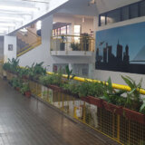 Gimnazija "Patrijarh Pavle" ugradila lift za svog učenika 5