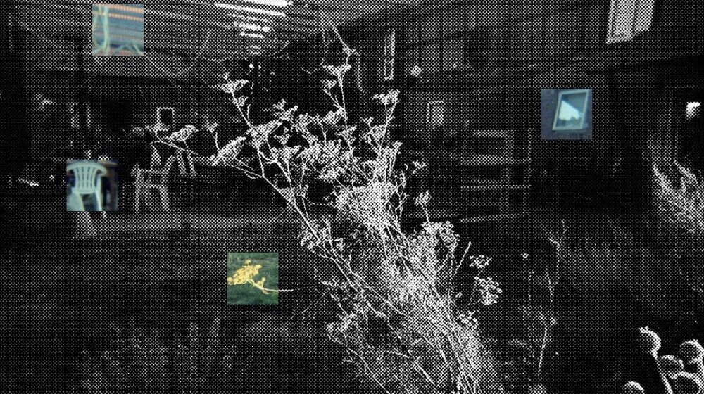 Šta suštinski određuje neki entitet: Izložba „(Ne)deljiva celina” Katarine Vasiljević u Kontakt galeriji SKC-a Kragujevac 1